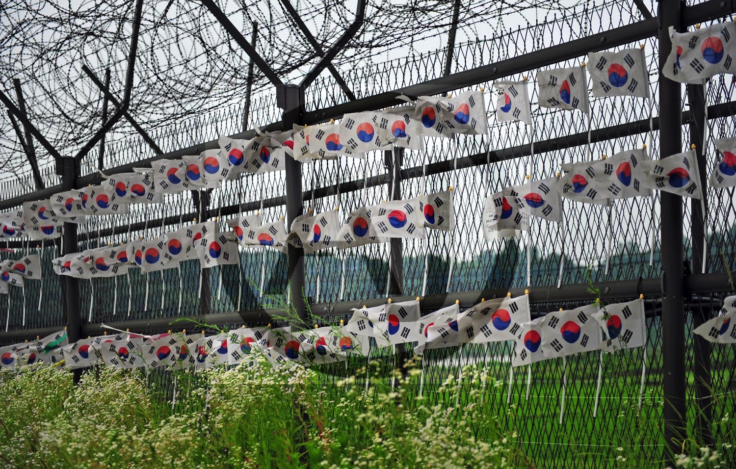 <i>Korean Border, DMZ (South Korea)</i>