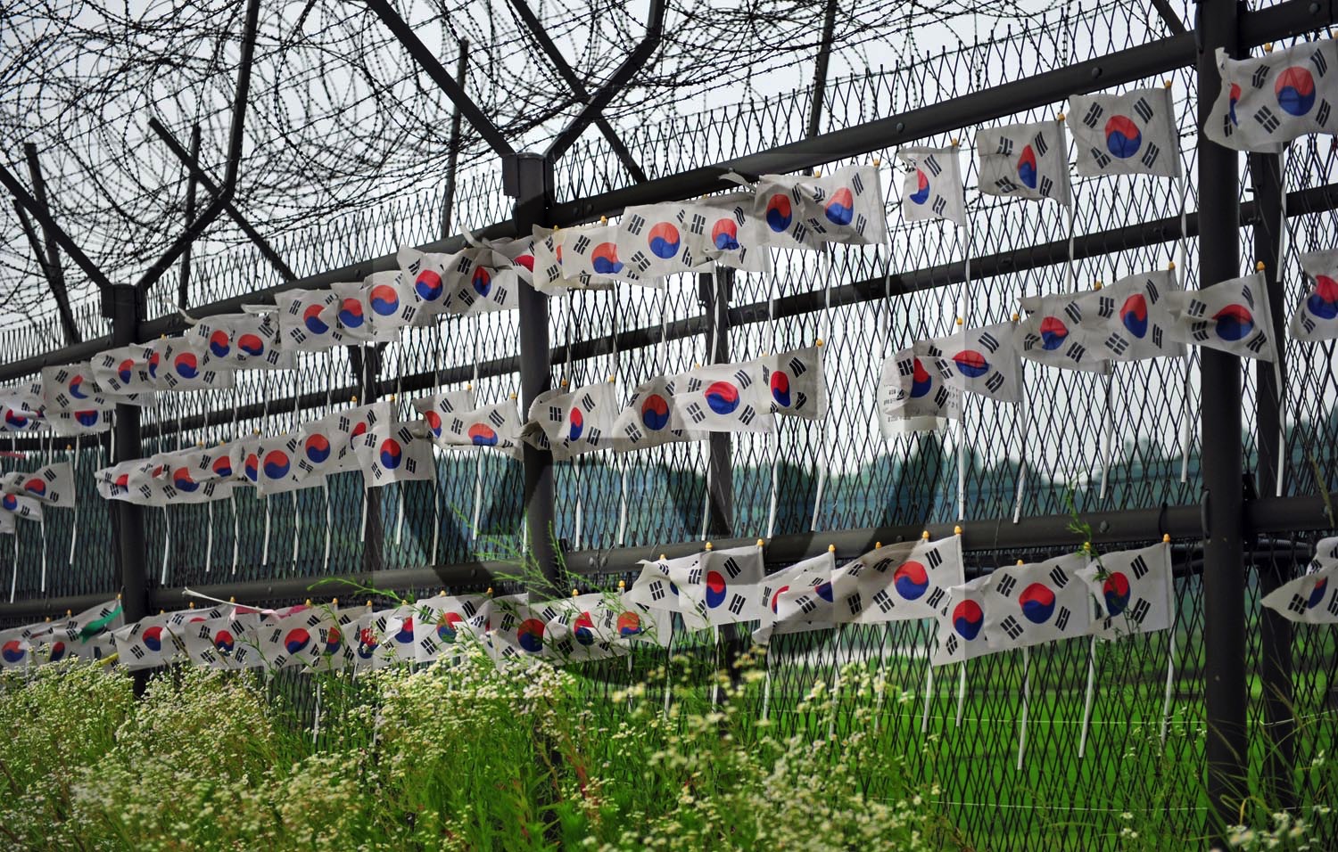 <i>Korean Border, DMZ (South Korea)<i>