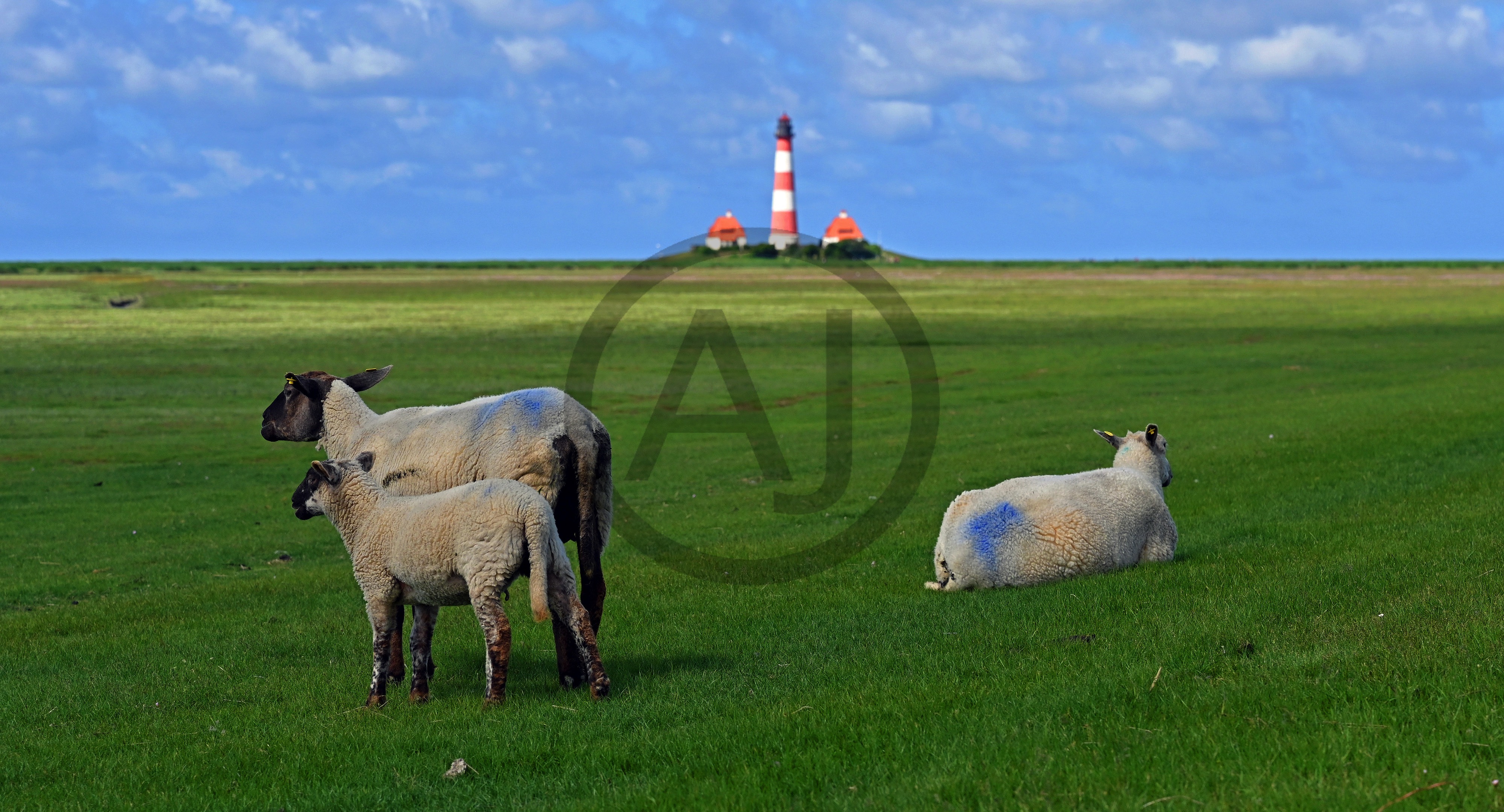 <i>Lighthouse Westerheversand, Nordfriesland (Germany)<i>