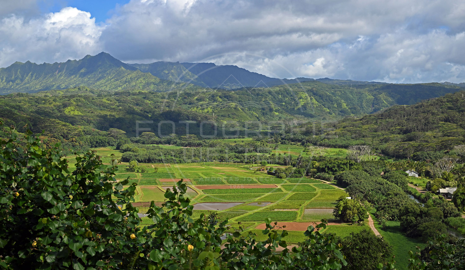 <i>Hanalei, Kauai (USA)<i>