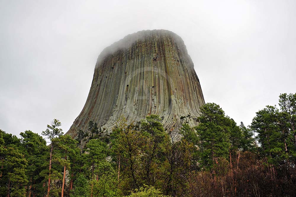 <i>Devils Tower, Wyoming (USA)<i>
