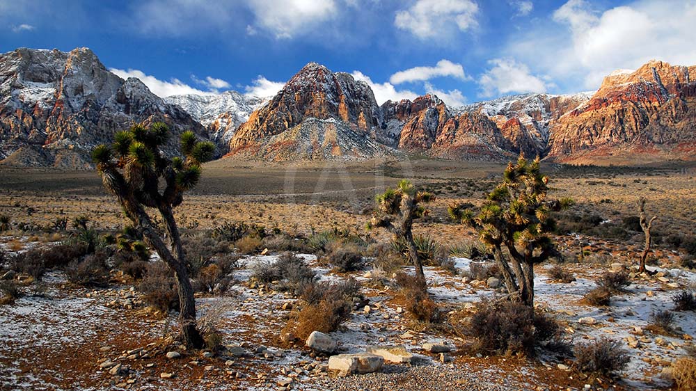 <i>Red Rock Valley, Nevada (USA)<i>