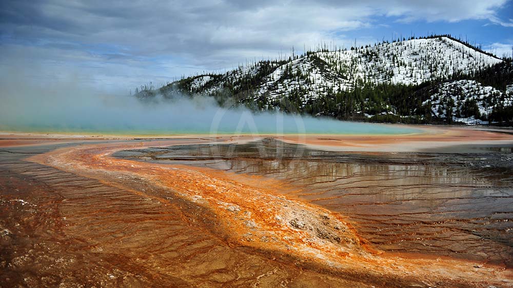 <i>Yellowstone National Park, Wyoming (USA)<i>